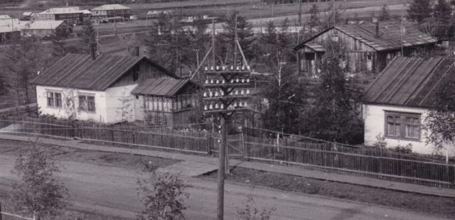 Удивительная история выживания в тайге, или Лесная эпопея студентки Натальи Косоруковой