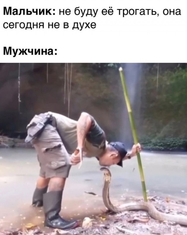 Веселые картинки к маленькой пятнице (28.08)