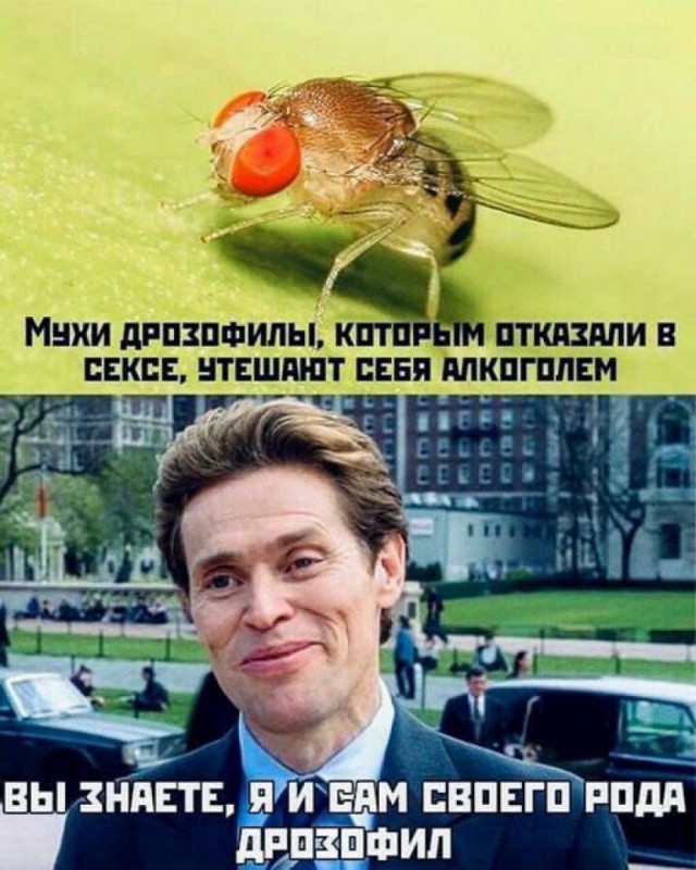 Веселые картинки к пятнице (20.09)