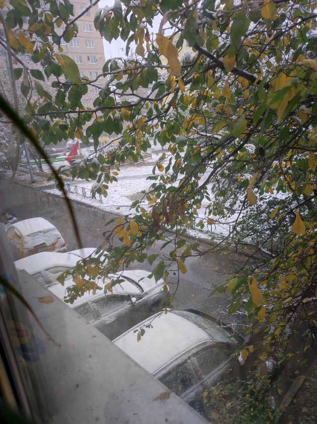 Снег добрался до Москвы