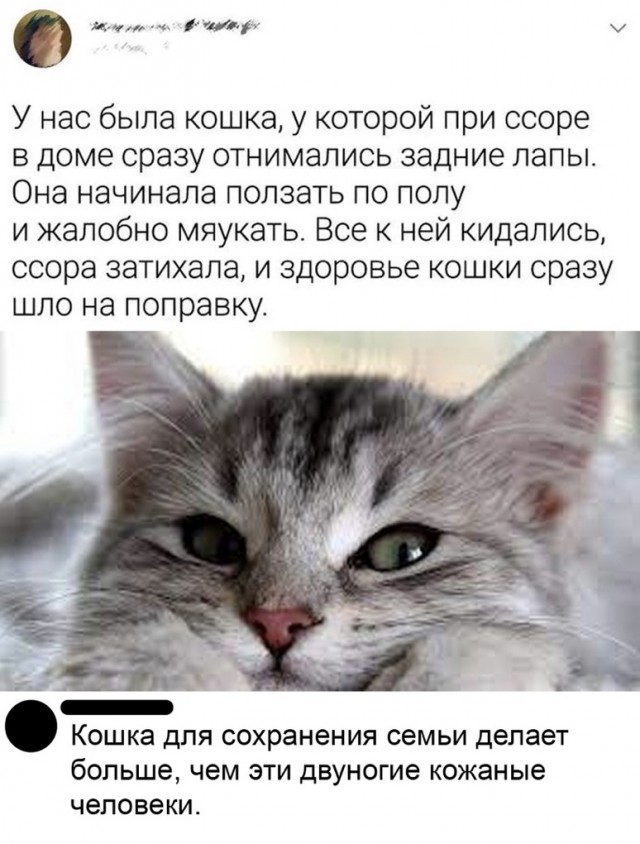 Так себе картинки 12.01.25