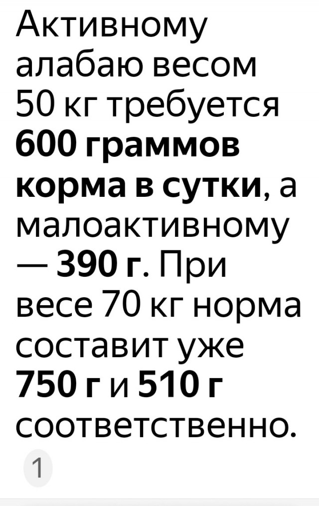 Спасенный год назад щенок навестил врача.