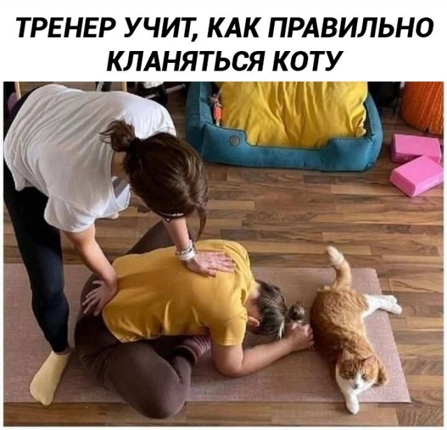 Весёлый полтишок 27.02.2025