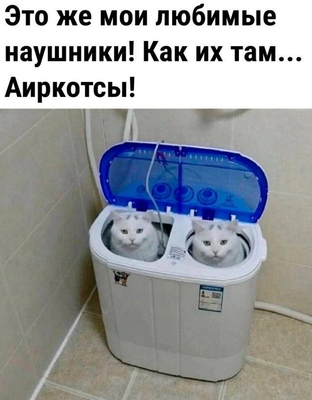 15 фото вам без всякой моральной этики для поднятия настроения
