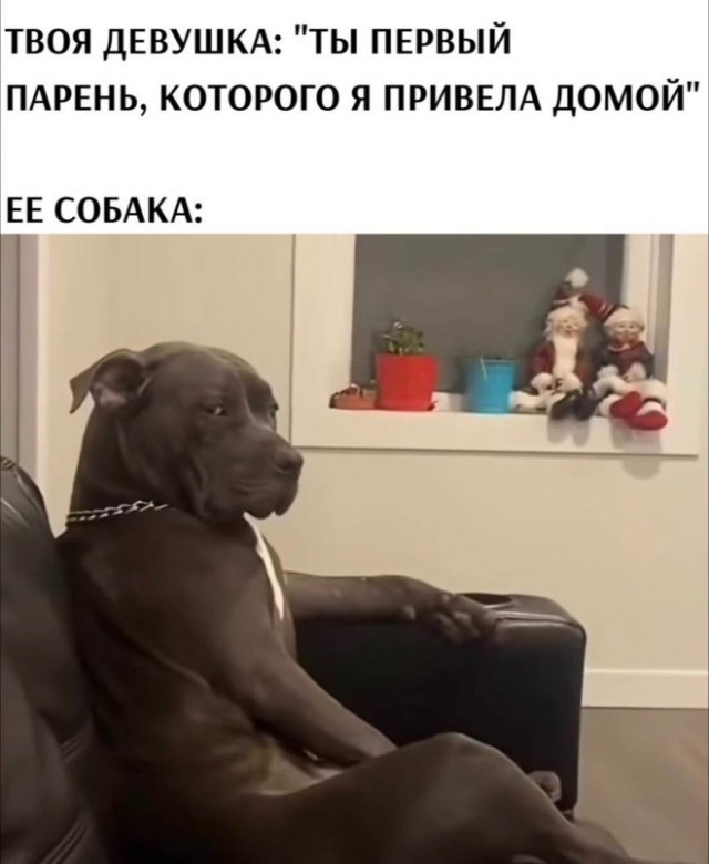 10 картинок падонгам для вечернего настроения
