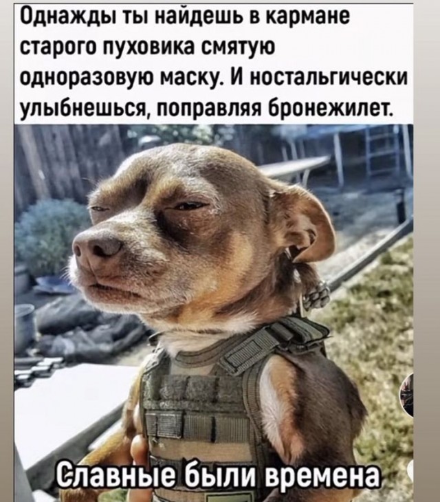 А помните, как все дружно в намордниках бегали