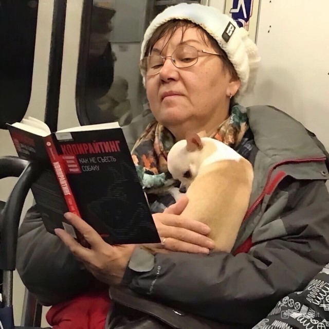 Веселое настроение в картинках 24.07.25