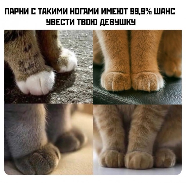 Так себе картинки 03.08.25