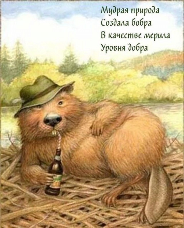 Прикольные и просто красивые картинки 22.08.2025