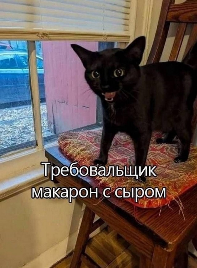 Картинки для деградации 59 (разной степени свежести)