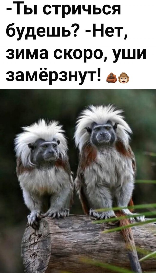 Маленькая пятница