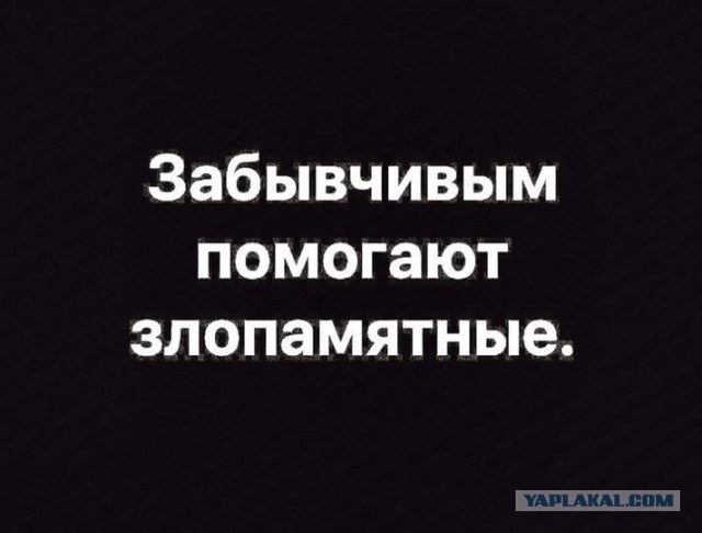 Картинки для деградации 101 (разной степени свежести)