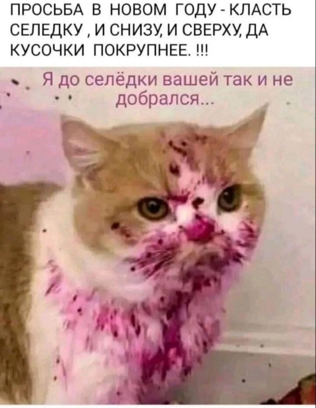 Четверговые картинки