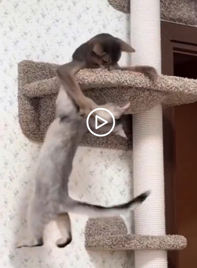 На реальных событиях