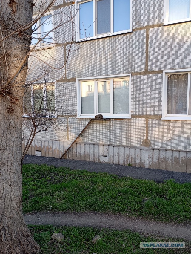 Поздно вернулся...
