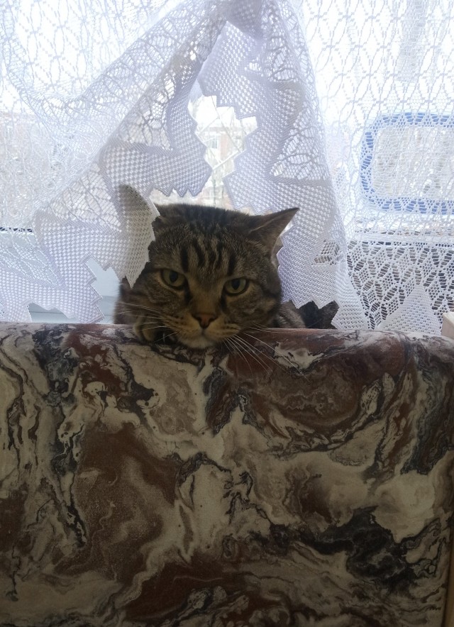 Моя хозяйка