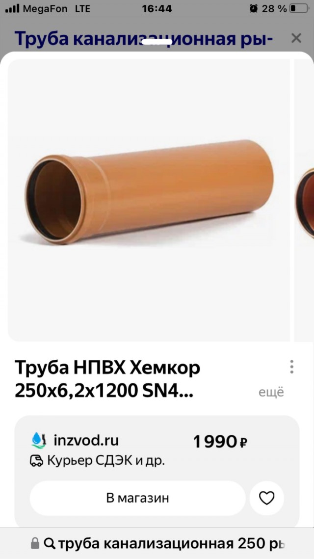 Капуста