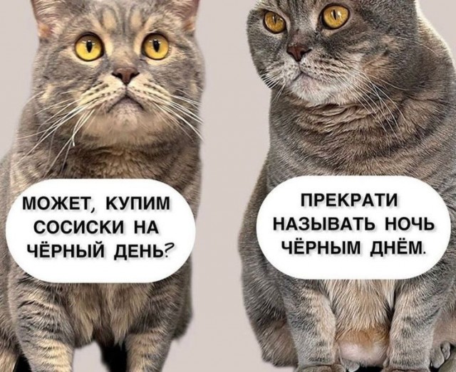 Картиночки, баянчики 29 июня