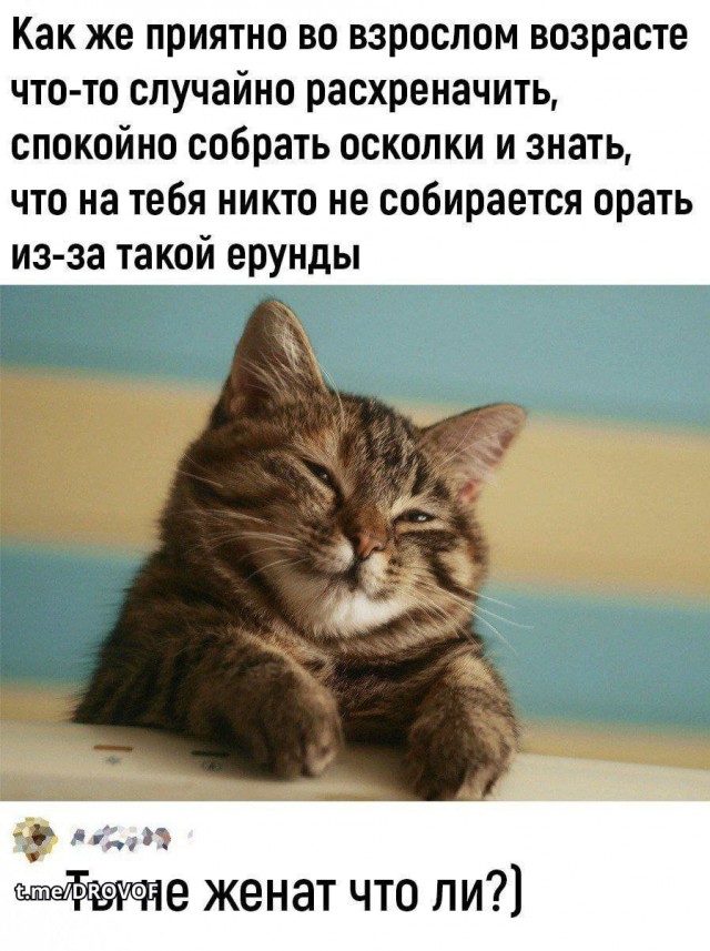 Так себе картинки 08.07.26