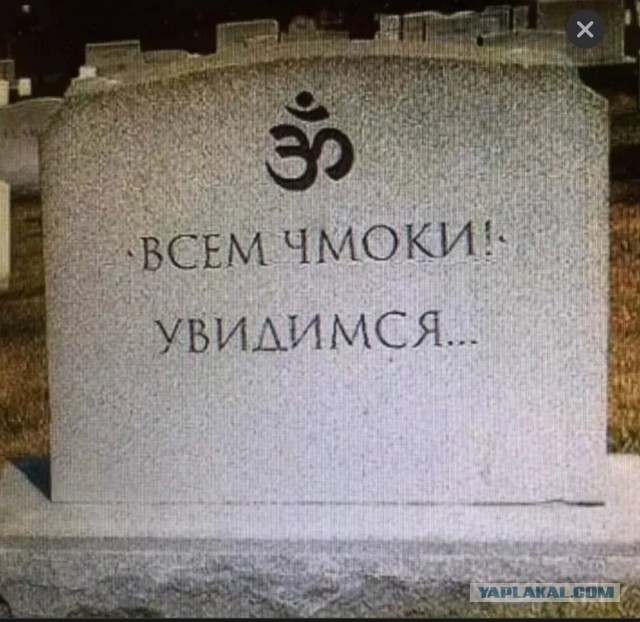 Веселые картинки в маленькую пятницу (05.08)