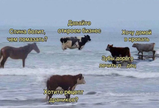 Картинки для деградации 263 (разной степени свежести)
