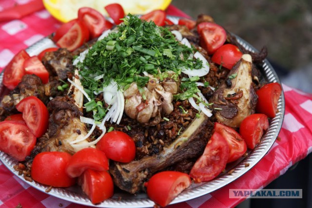 Сноубордист, который прожил год в машине.