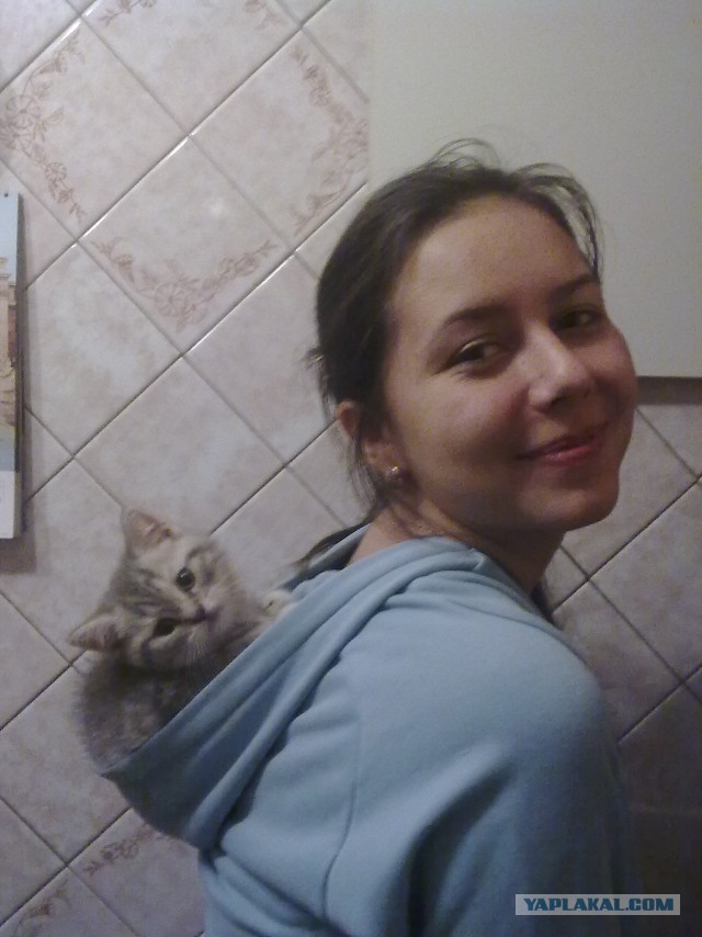 Котовторник 01.04.2014
