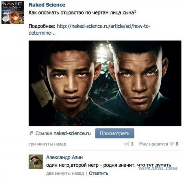 Комментарии из социальных сетей