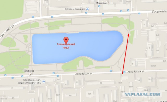 Американец попал в Гольяново...