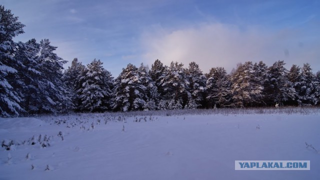 Плюсы и минусы жизни в своем доме в пригороде