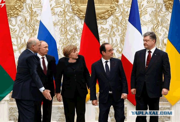 Предлагаю пожабить