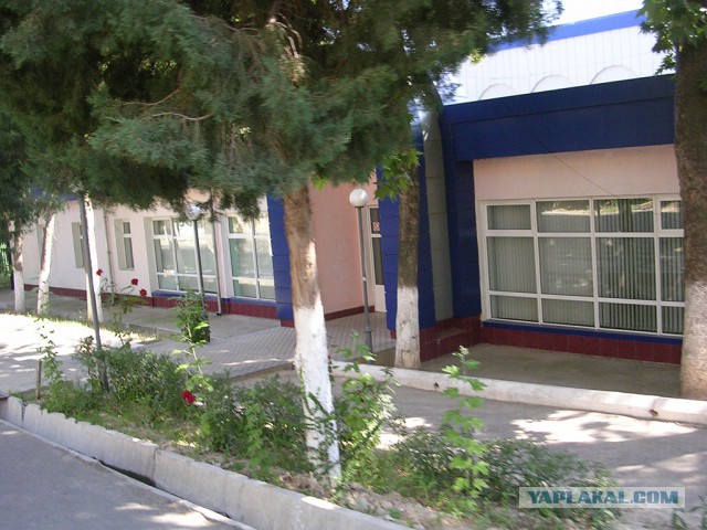 ЧИРЧИК