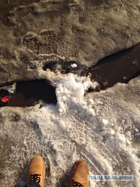 Построил плотину!