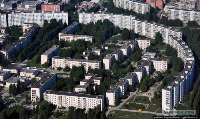 Когда деревья были большими