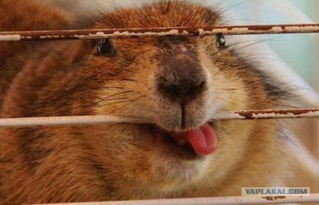 Реинкарнация существует!