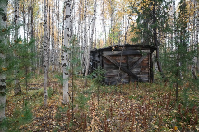 Экспедиция к 503 стройке.