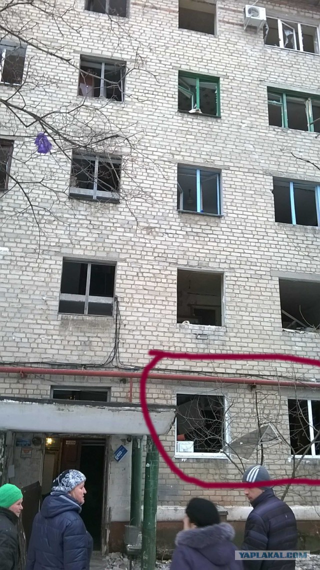 В зоне обстрела. Собаки которые ждут своих хозяев