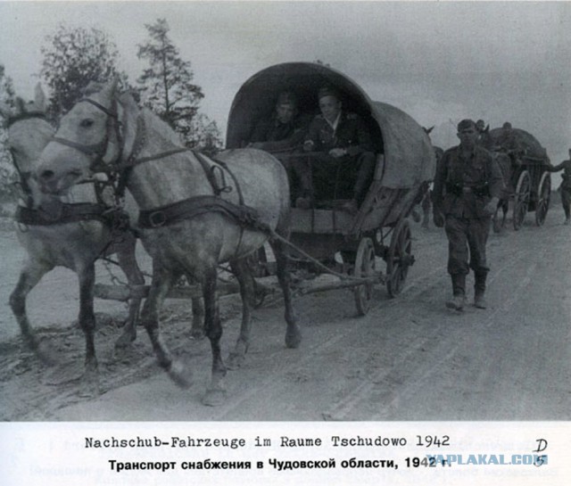 Фото с мест Волховской битвы (Вермахт)