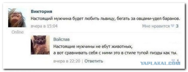 Смешные комментарии из социальных сетей