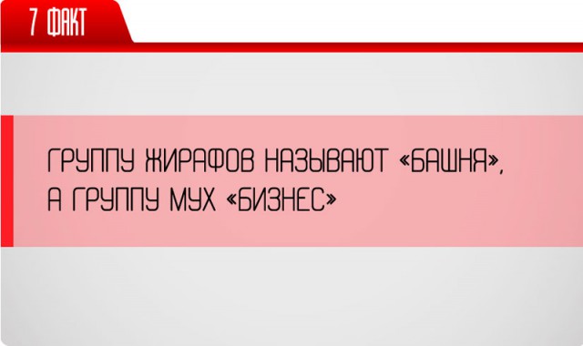 25 неожиданных фактов о нашей жизни