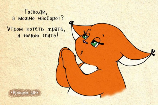 Как научиться спать вовремя?