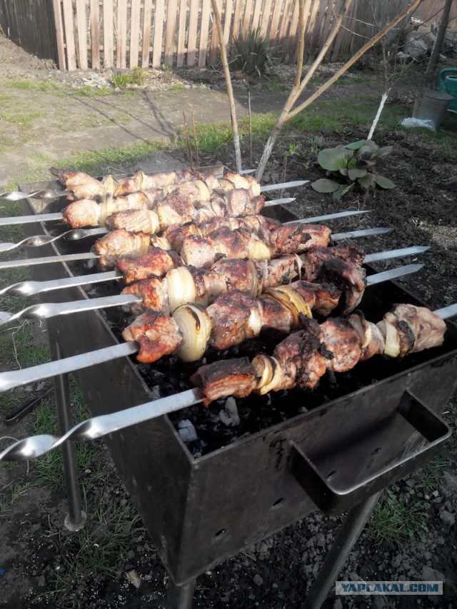 Следственный эксперимент с шашлыком