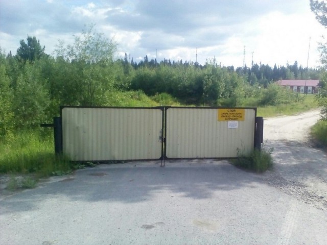 Подборка интересных и веселых картинок