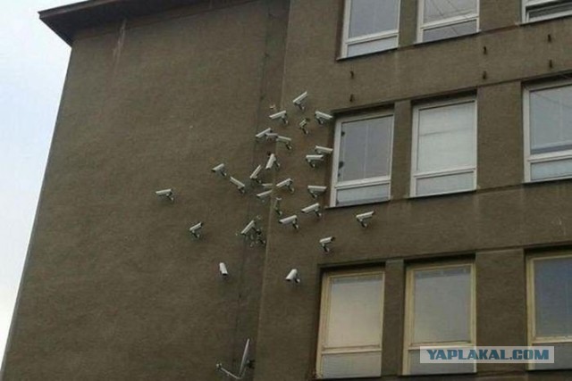 Фото из этих ваших интернетов