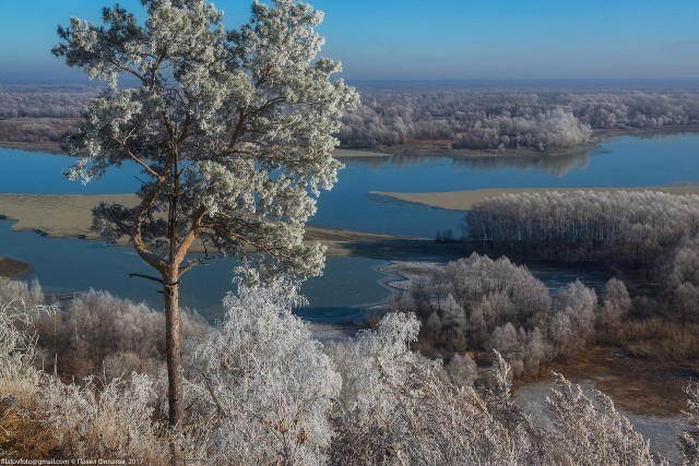 Картинок всяких