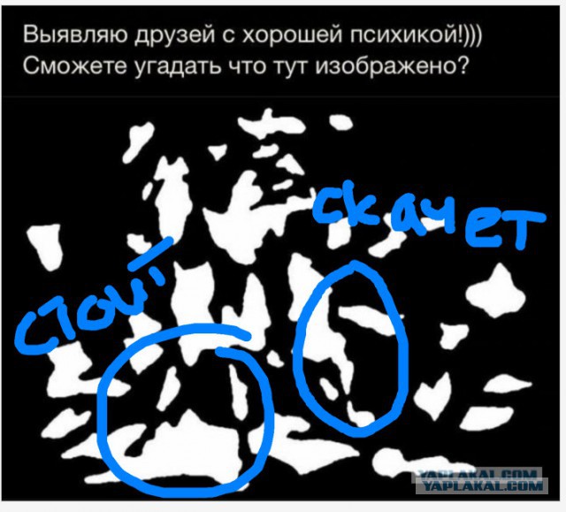 Голову сломал уже