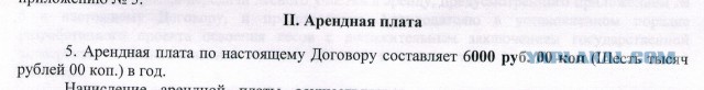 В усадьбу Медведева в Плёсе завезли полсотни алтайских маралов. 4 тысяч га земли за 40 рублей