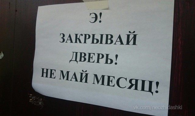 Смешные картинки