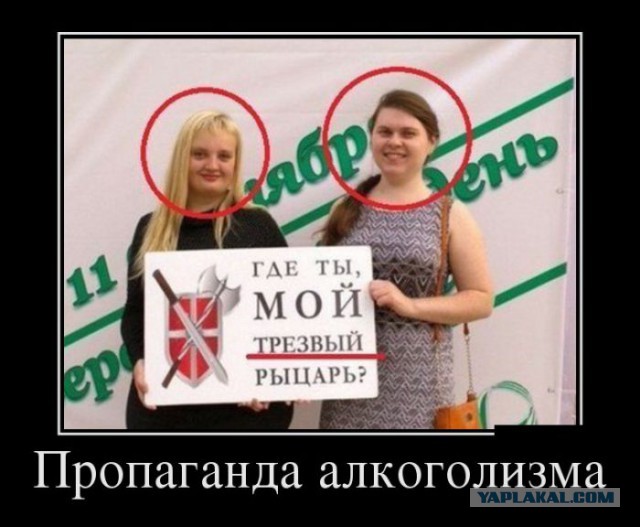 Демотиваторы