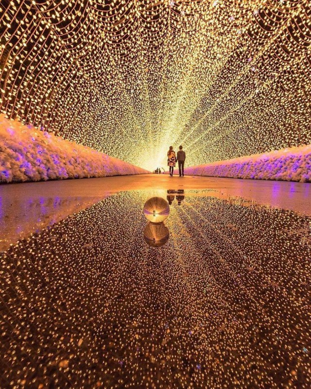 Подборка интересных и веселых картинок